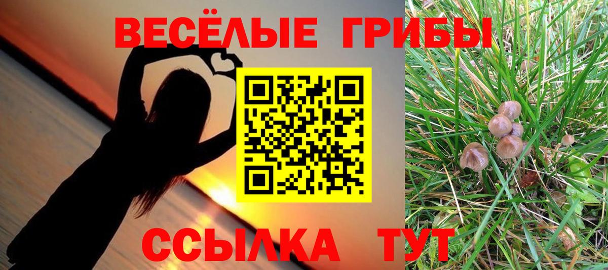 Псилоцибиновые грибы Psilocybine cubensis Уссурийск
